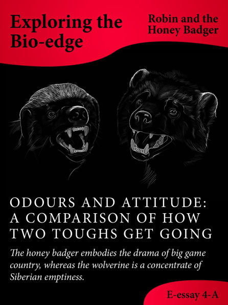 Odours And Attitude: A Comparison Of How Two Toughs Get Going