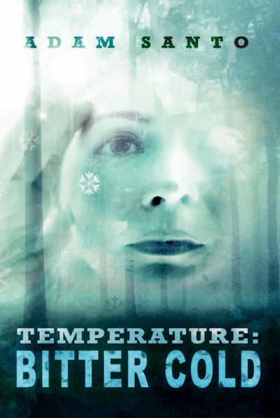 Temperature: Bitter Cold (Temperature Trilogy, #2)