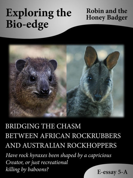 Bridging The Chasm Between African Rockrubbers And Australian Rockhoppers