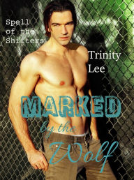 Marked by the Wolf (Spell of the Shifters, Book 4)