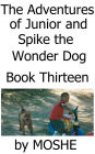 The Adventures of Junior and Spike the Wonder Dog. Book Thirteen: Deep Sea Fishing in Mexico