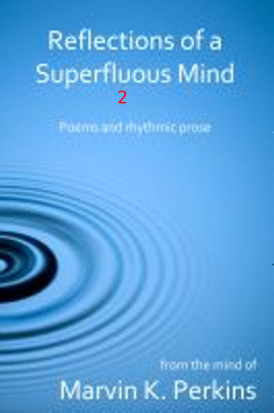 Reflections of a Superfluous Mind 2