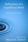 Reflections of a Superfluous Mind 2