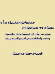 The Navier-Stokes Millenium Problem