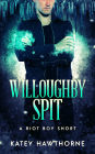 Willoughby Spit