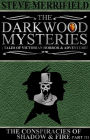 The Darkwood Mysteries: The Conspiracies of Shadow & Fire (Part Three)