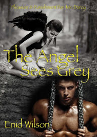 Title: The Angel Sees Grey: Pleasure and Punishment for Mr. Darcy, Author: Enid Wilson