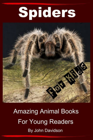 Spiders for Kids: Amazing Animal Books for Young Readers