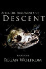 After The Fires Went Out: Descent (Book Four of the Unconventional Post-Apocalyptic Series)