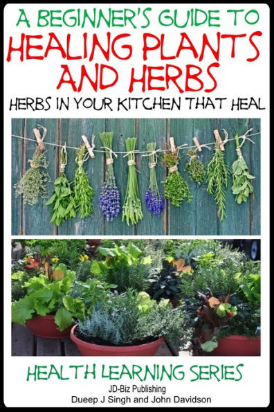 A Beginner's Guide to Healing Plants and Herbs: Herbs in Your Kitchen that Heal