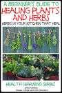 A Beginner's Guide to Healing Plants and Herbs: Herbs in Your Kitchen that Heal
