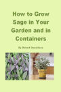 How to Grow Sage in Your Garden and in Containers