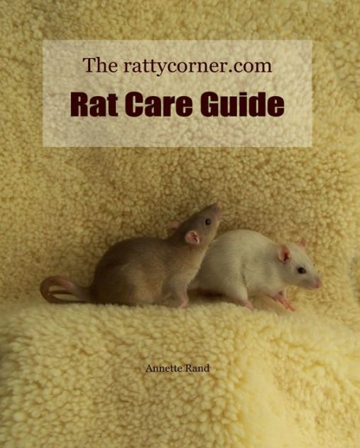 Hamsters, Gerbils, Rats & Mice Care Guide