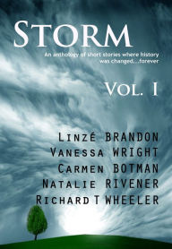 Title: Storm Volume I, Author: Linzé Brandon