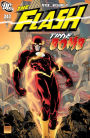 The Flash (1987-2009) #243