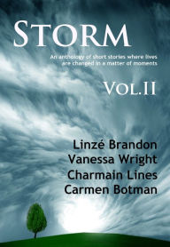 Title: Storm Volume II, Author: Linzé Brandon