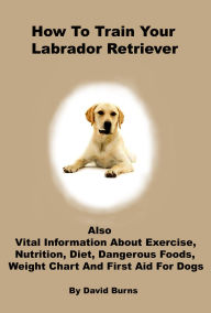 Title: How To Train Your Labrador Retriever, Author: David Burns