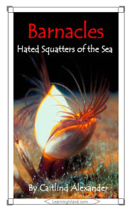 Title: Barnacles: Hated Squatters of the Sea, Author: Caitlind L. Alexander