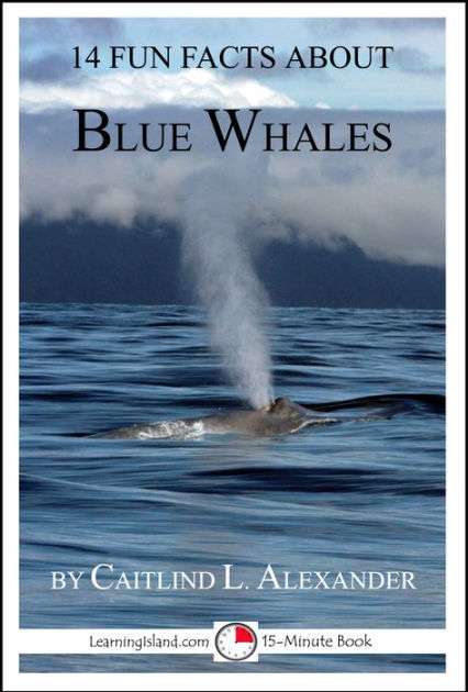 14 Fun Facts About Blue Whales A 15 Minute Book By Caitlind L