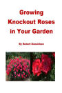 Growing Knockout Roses in Your Garden