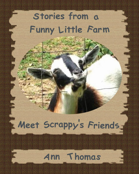 Stories from a Funny Little Farm: Meet Scrappy's Friends