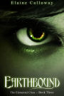 Earthbound (Elemental Clan, #3)
