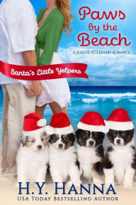 Summer Beach Vets: Playing Santa