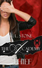 The Academy - Thief (Academy: The Scarab Beetle Series #1)