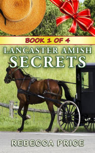 Lancaster Amish Secrets (Lancaster Amish Juggler Series, #1)
