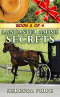 Lancaster Amish Secrets (Lancaster Amish Juggler Series, #1)