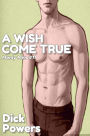 A Wish Come True