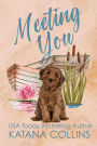 Meeting You