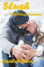 Slush: A Holiday Romance
