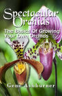 Spectacular Orchids: The Basics Of Growing Your Own Orchids