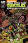 Teenage Mutant Ninja Turtles: Amazing Adventures #4