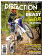 Dirt Action