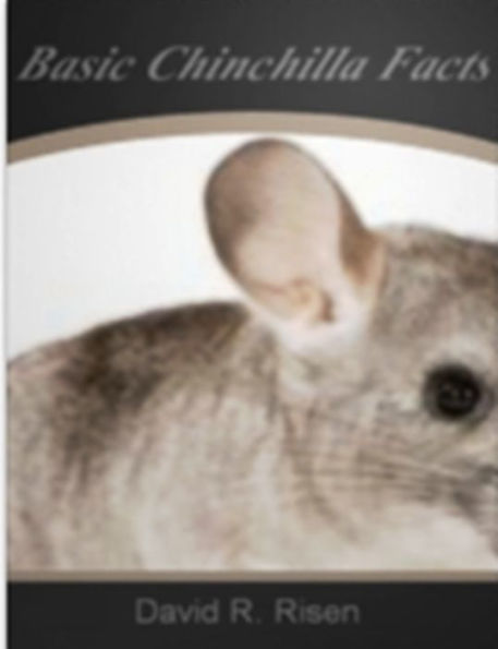 Basic Chinchilla Facts-The Secret Of How To Keep Chinchilla Coats Healthy, Mistakes To Avoid When Purchasing A Chinchilla, Your Pet Chinchilla And Environmental Stress, An Experienced Vet is Worth the Search, How To Get Your Chinchilla To Trust You