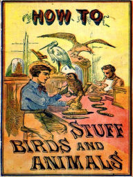 Title: How to Stuff Birds and Animals, Author: Aaron A. Warford