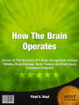 How The Brain Operates: A Look At The Reaction Of A Brain During Brain Teasers Riddles, Brain Damage, Brain Tumors and Brain Injury Treatment Theories!