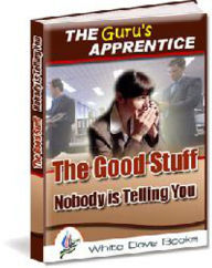 The Guru's Apprentice: The Good Stuff Nobody is Telling You