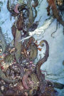The Snow Queen & Other Tales