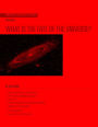WHAT IS THE FATE OF THE UNIVERSE?