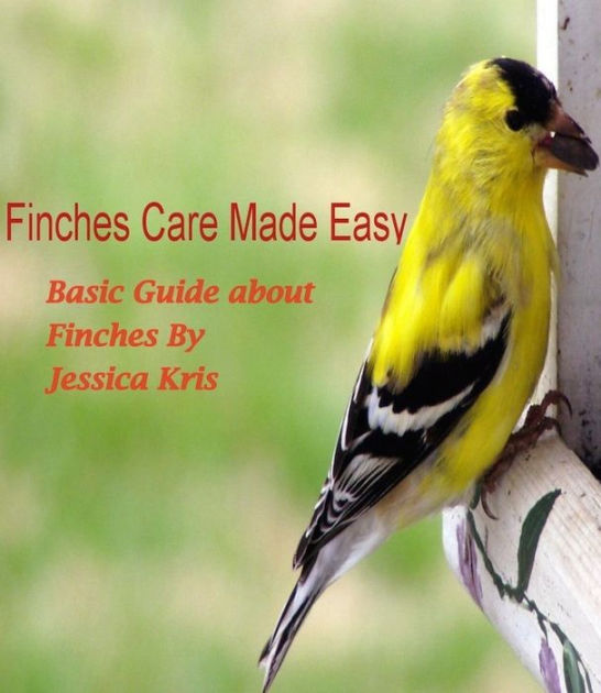 Finches Care Made Easy by Jessica Kris eBook Barnes & Noble®
