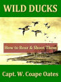 Wild Ducks, How to Rear and Shoot Them