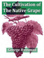 The Cultivation of the Native Grape, and Manufacture of American Wines