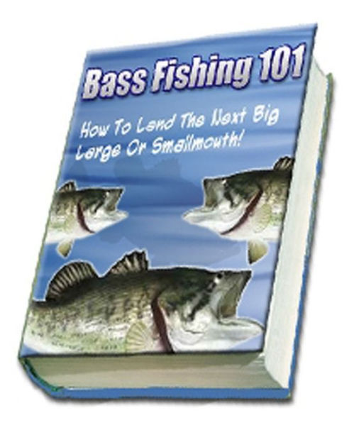 Bass Fishing 101 by Augustin, eBook