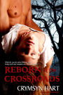 Reborn at the Crossroads