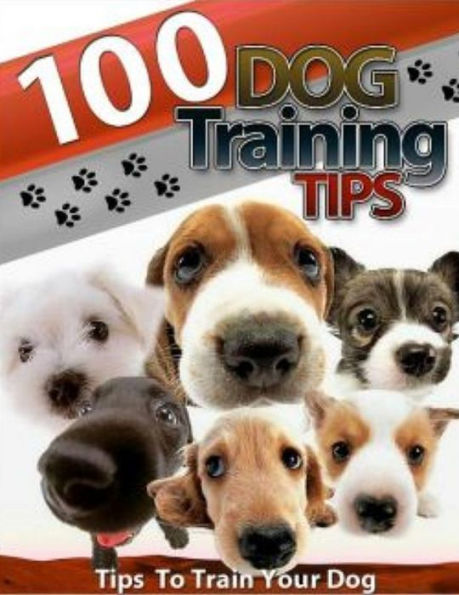 100 Dog Training Tips