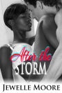 After the Storm (Interracial Erotic Romance)