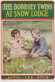 The Bobbsey Twins at Snow Lodge